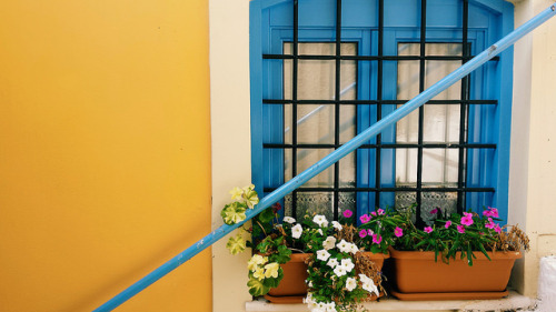 floralls:   Poros island. Greece  by  Cristi