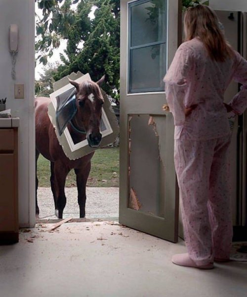 horse-is-a-horse-of-course:Susan, we’re not going to get anywhere asking questions like &lsquo