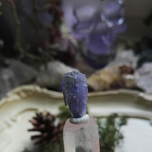 I was so lucky to get this tanzanite at the gem show, this is just one of the three tanzanite I own 