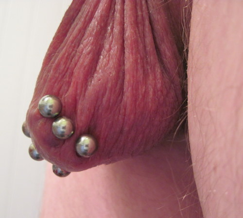 My scrotal ladder on display; 6 gauge 5/8" straight barbells.  The piercings are healing very nicely and I can’t wait to be able to play with the jewlery without risking problems in the fistulas.