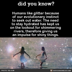 did-you-kno:  did-you-kno: HAPPY WORLD WATER