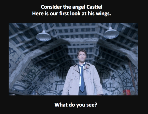 northern-sparrow:  All right, I was forced to start up a tumblr just to post this thing. So, I watched the first five seasons of Supernatural while doing field research on the birds of northern Alaska, and when Castiel spread his wings for the first time