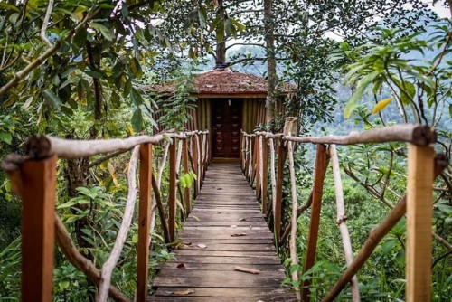 iamandyward:Welcome to the jungle #Treehouse (at The Tree House)