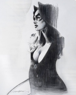 viaov:Jeff Dekal, Catwoman