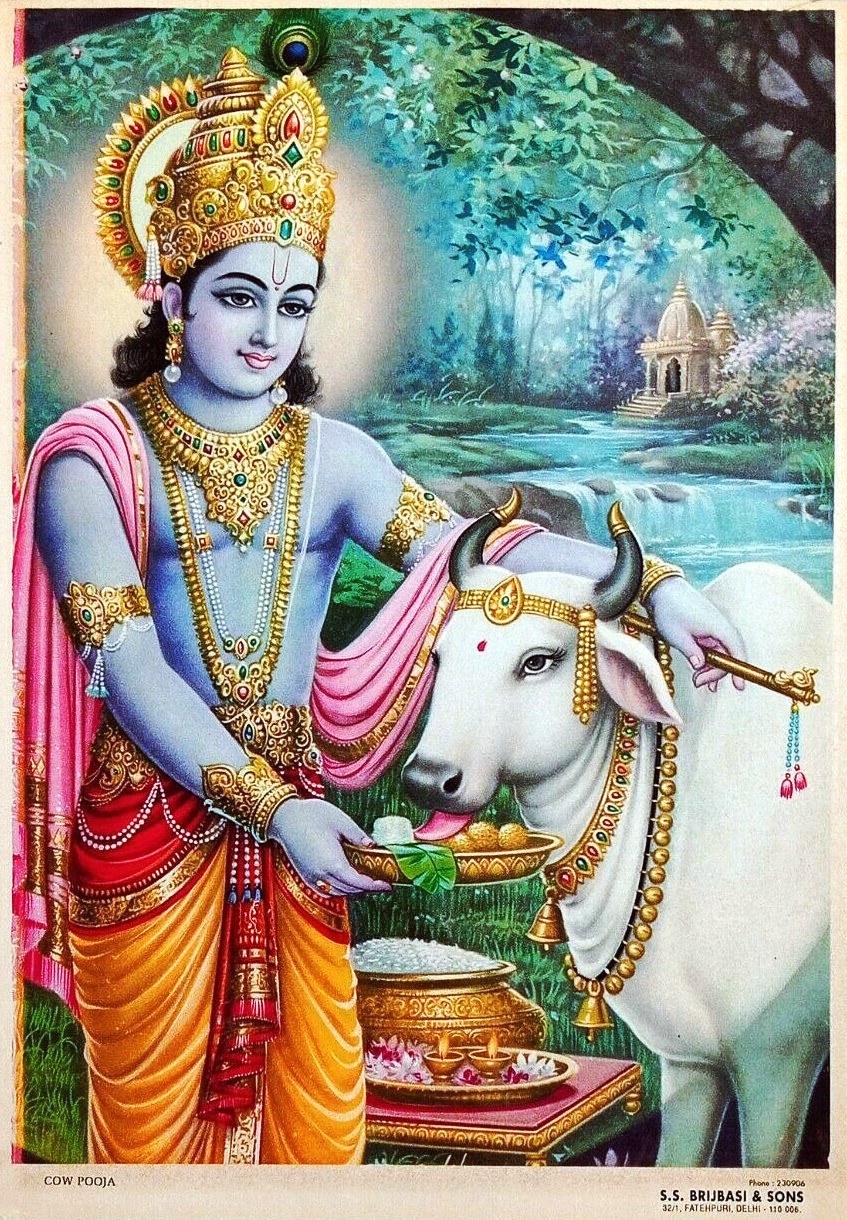Hindu Cosmos - Lord Krishna Cow Pooja Publisher: S. S. Brijbasi...