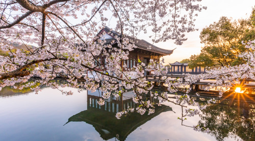 fuckyeahchinesegarden:曲院风荷quyuanfenghe, west lake, hangzhou, zhejiang province by 影像视觉杨