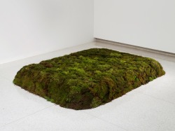antronaut: Meg Webster - Moss Bed, Queen (1986/2005) peat moss, earth, and plastic tarp 10 x 60 x 80 in 