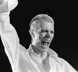 'Loves To Be Loved' A David Bowie Blog