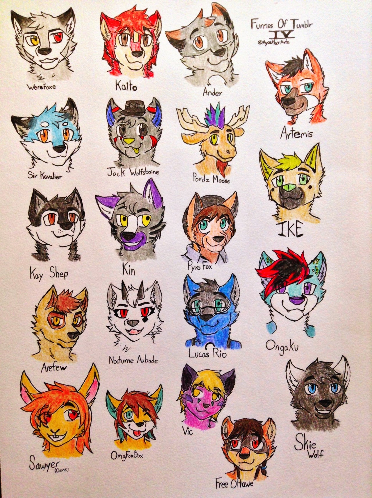 furrywolflover:  ayzutho-the-catfox:  Furries of Tumblr Collection  Aww I dont see