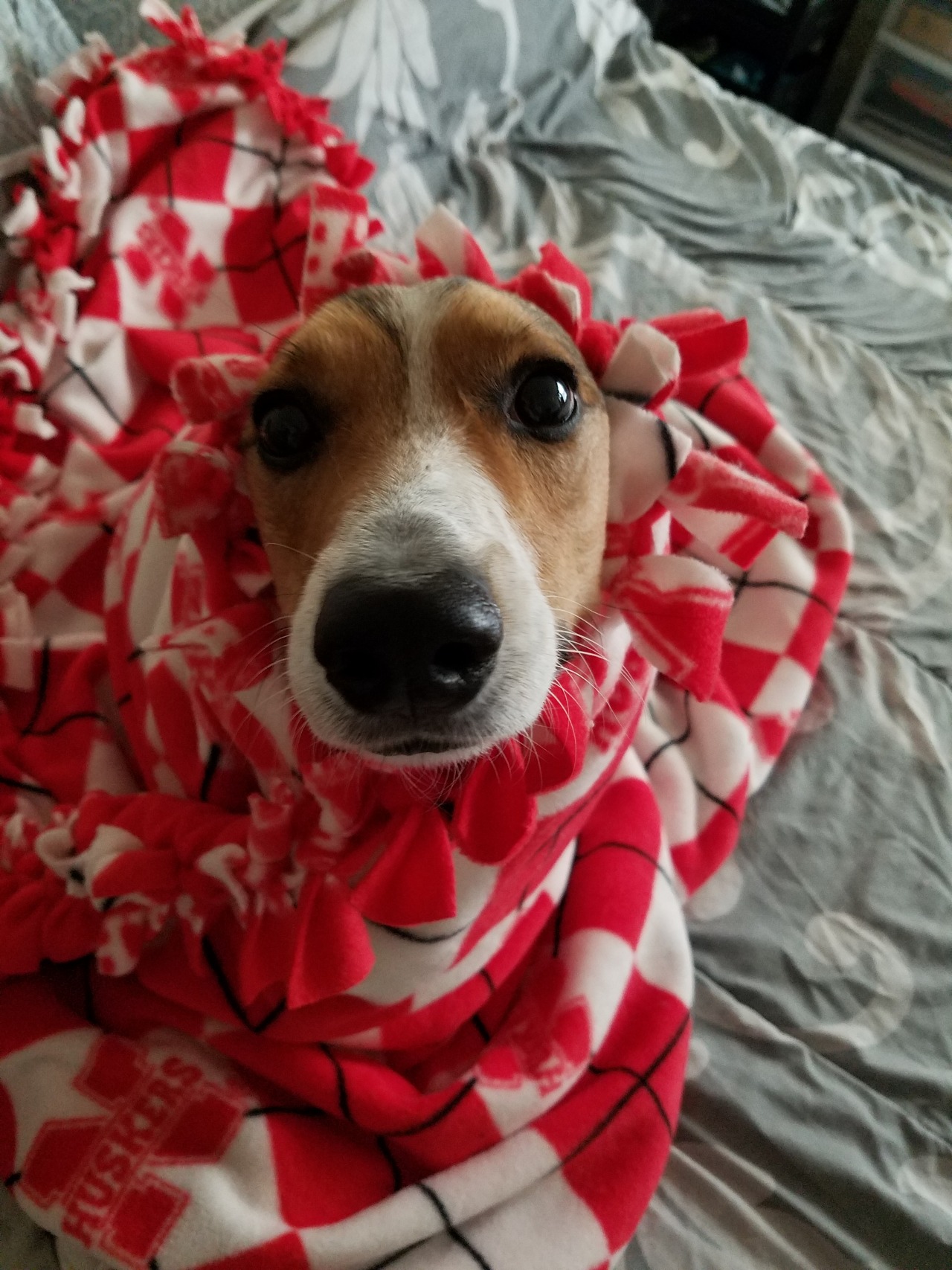 baronvonwaffles:This blanket is Bacon approved!