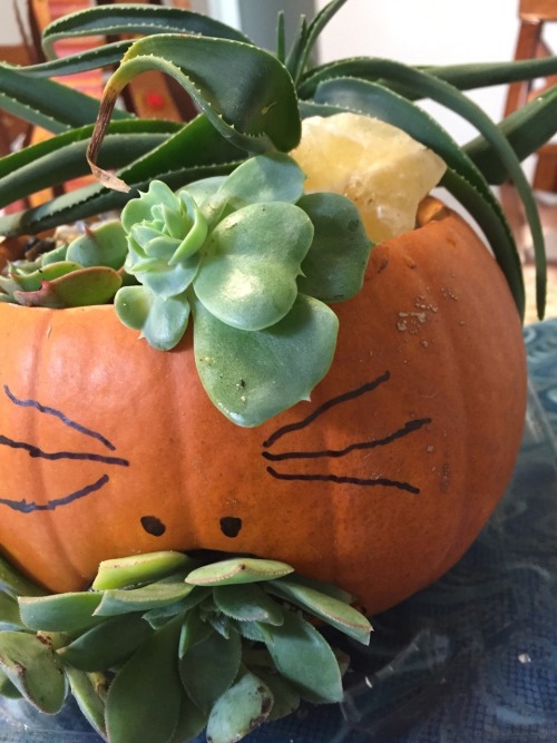 Happy Halloween!
