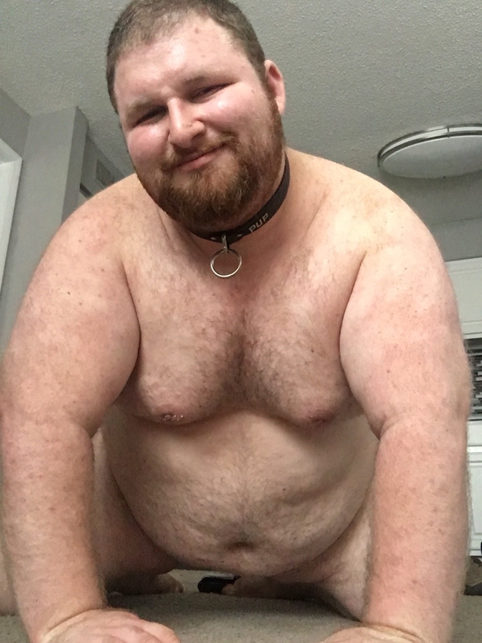 brutusthehogpup:  Wruff! Pup Brutus reporting for duty. Between all the teasing from