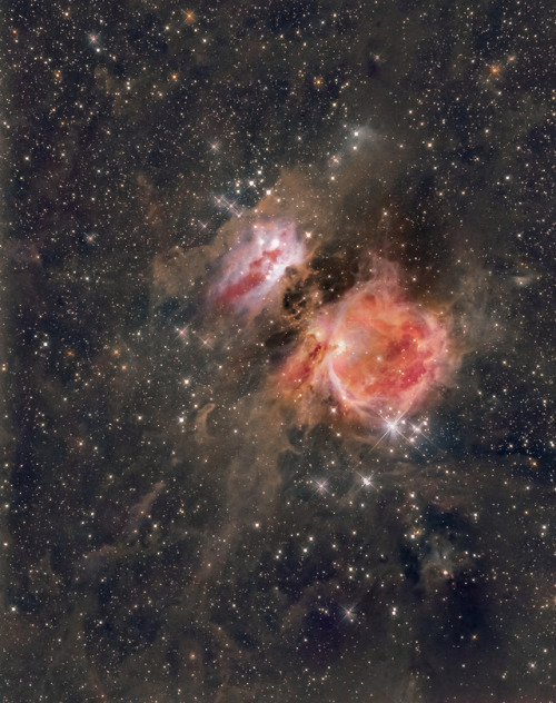 just–space: Orion Nebula  by Simon W js 