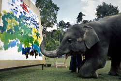 h4ilstorm:  When elephants paint (by O.Blaise)