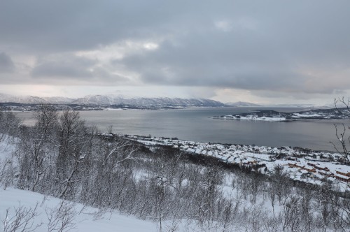 tromsø