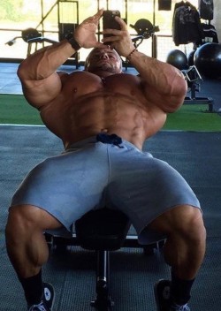 musclebull23:  
