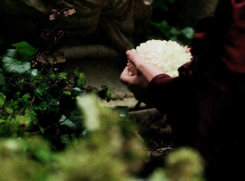 LA BELLE ET LA BTE + Dir. Christophe Gans