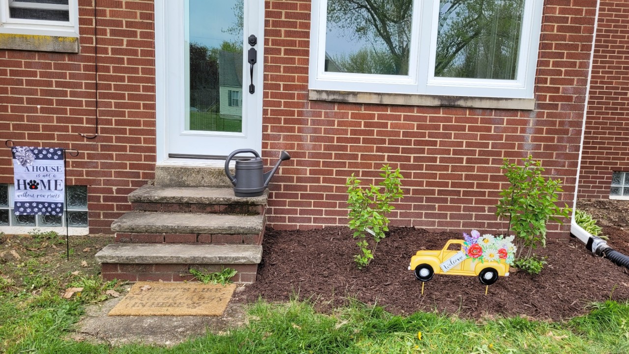 katiiie-lynn:It’s not the prettiest presentation because it still needs work, but spent all day outside weeding the flower beds and finally laying down some mulch. Planted some lilacs outside our reading room windows, planted grass seed by our A/C
