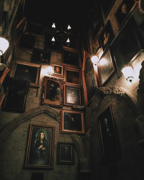 infected:Hogwarts, photo by electriceternity