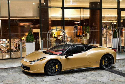 Luxury Kingdom