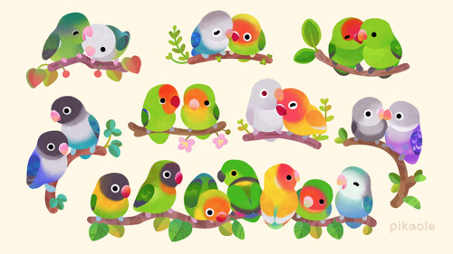 thehotgirlproject:pikaole:Lovebird, Toucan, Tit, Duck and Chicken[ Patreon / twitter / insta / shop 