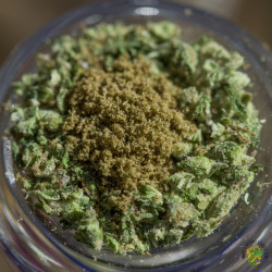 bonglife420:  iamoppo:  Gold &amp; Green  Damn 