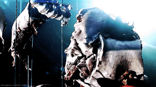 Anamorph (2007)