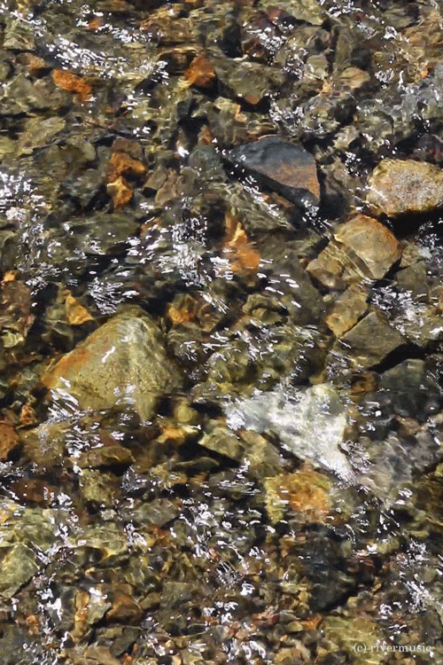 tumblr_puvhiucols1vj0ol1o1_500.gifv