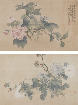 laclefdescoeurs:  Flowers, 1787, Sun Quan 