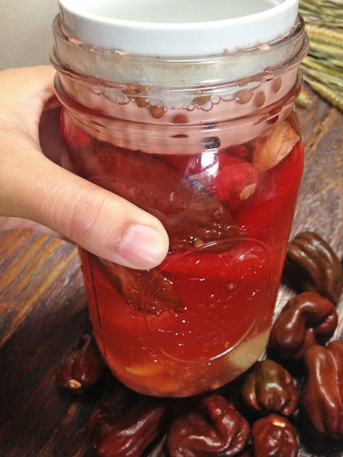 hqcreations:Homemade Fermented Hot SauceThe garden was pretty meh this year, but we did good on the 