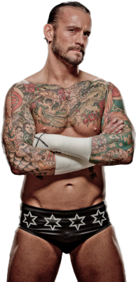 rwfan11:  CM Punk … he’s like fine wine…