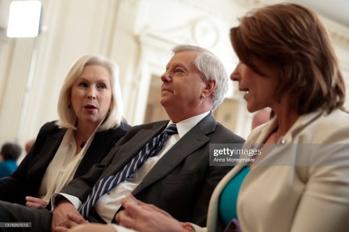 idvoteforthatdaddy: Lindsey Graham (R-SC)United States Senator Dare I say, Lindsey is aging like fin
