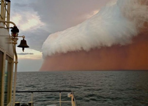 A white shelf cloud caps brownish dirt from a dust storm, or haboob, as it travels across the Indian