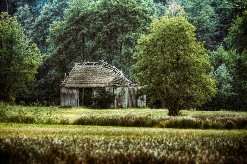 stodoła