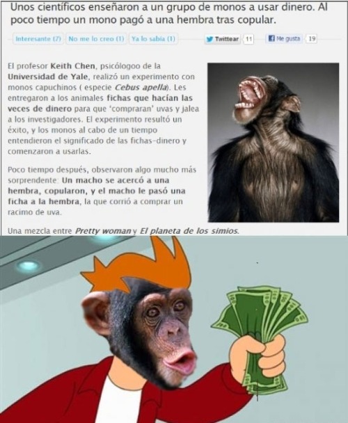 jaidefinichon:  sabe