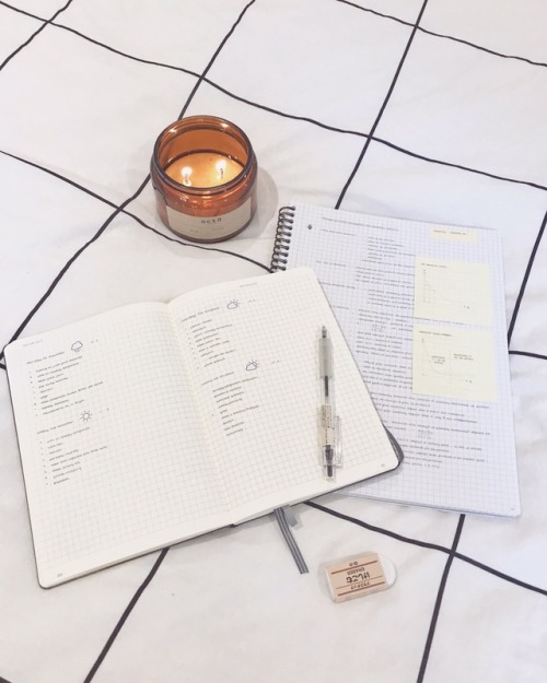 cinnamon-studying:Cosy autumnal revision sessions  Exams next week! (Updates on Instagram HERE)