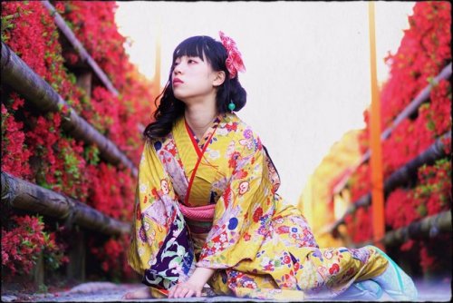 Surrounded by azalea at Tenmangu Shrine,colorful shot seen on @modoribashi237