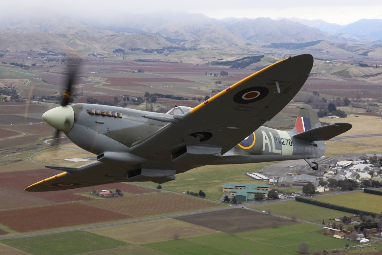 Beautiful Warbirds