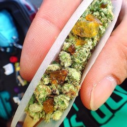 weedporndaily:  @dr_darby_ by potheadworld