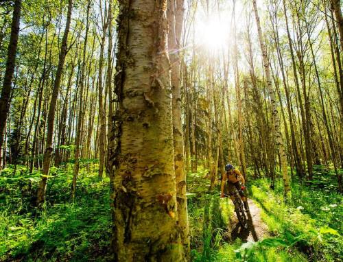 thewideeyedworld:  Happy Sunday! #mountainbike #optoutside #sun (at Anchorage, Alaska)