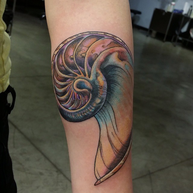 My new nautilus shell tattoo  rtattoos