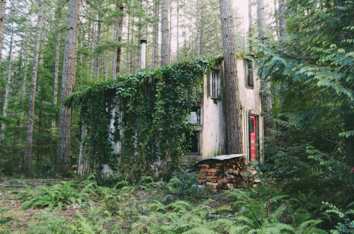 Cabin, Seabeck WA