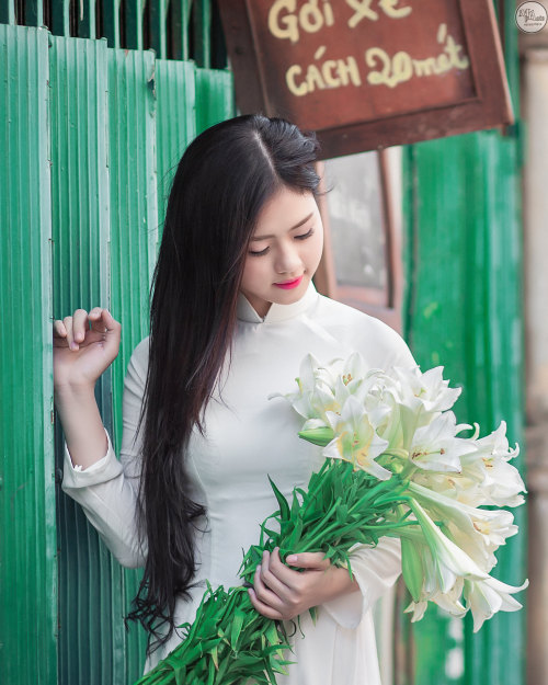  Vietnamese long dress (Ao dai) bởi Beauty Collection Qua Flickr: Photo backup https://flic.kr/s/aHs