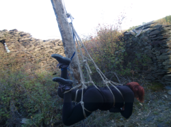 SHIBARI