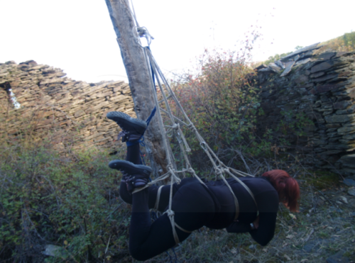 Porn photo SHIBARI