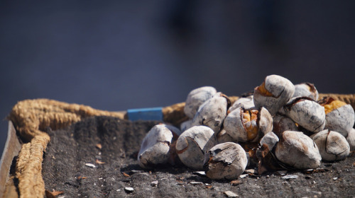 Lisbon Chestnuts by welovelisbon on Flickr.