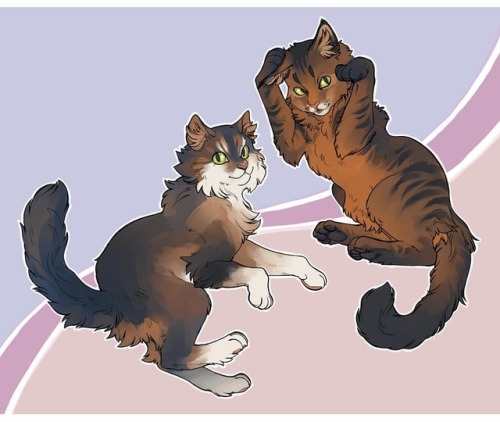 Pet portrait commission done for Christmas! These two are absolutely gorgeous, a delight to draw! #e