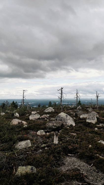  Vottovaara Mountain. Republic of Karelia. If you like this picture, follow me on instagram: www.ins