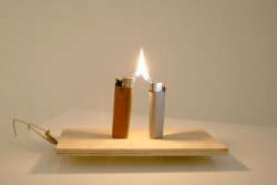 11venusinscorpio11:Ariel Schlesinger, Untitled (Lighters), 2007