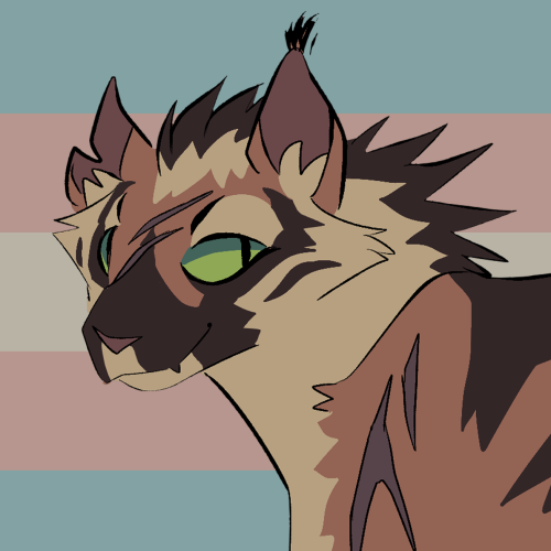 shrimp-sushi:warrior cat pride icons w my designs lol (free to use w credit)cats in order in tags